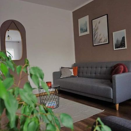 Cozy Apart Toplita 外观 照片