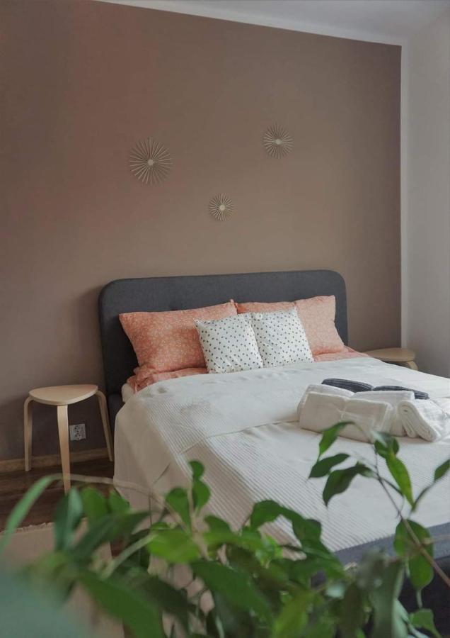 Cozy Apart Toplita 外观 照片